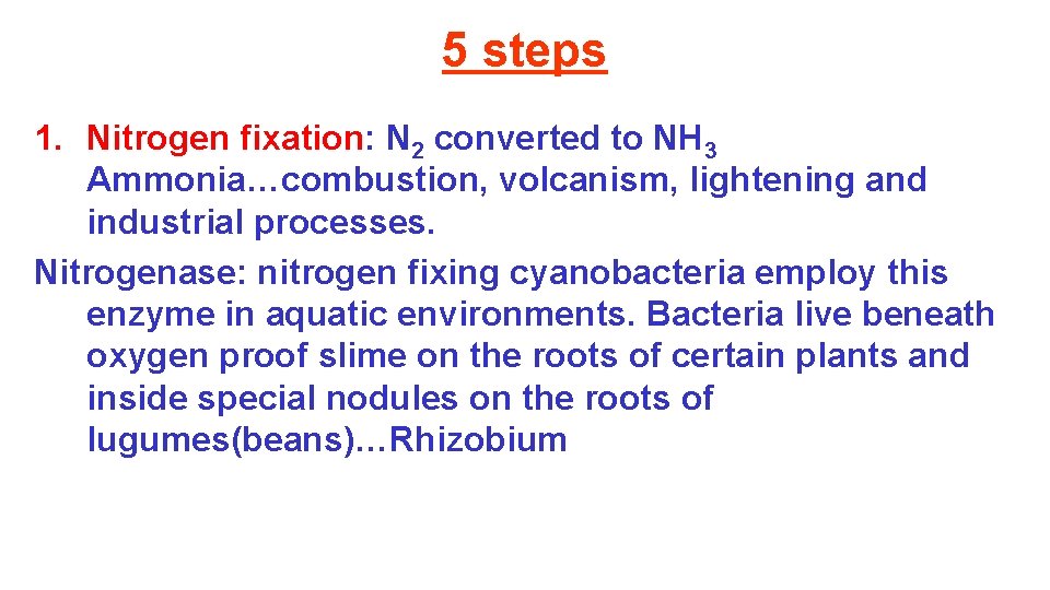 5 steps 1. Nitrogen fixation: N 2 converted to NH 3 Ammonia…combustion, volcanism, lightening