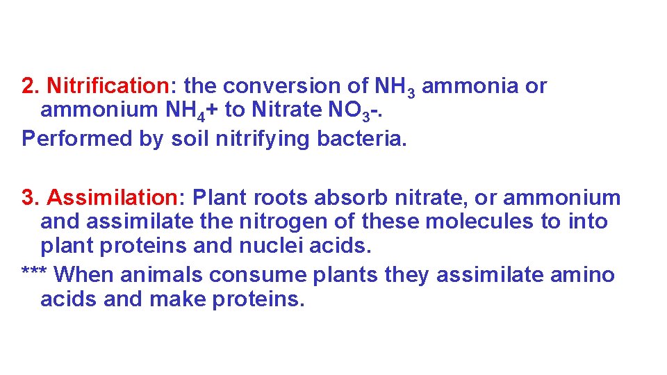 2. Nitrification: the conversion of NH 3 ammonia or ammonium NH 4+ to Nitrate