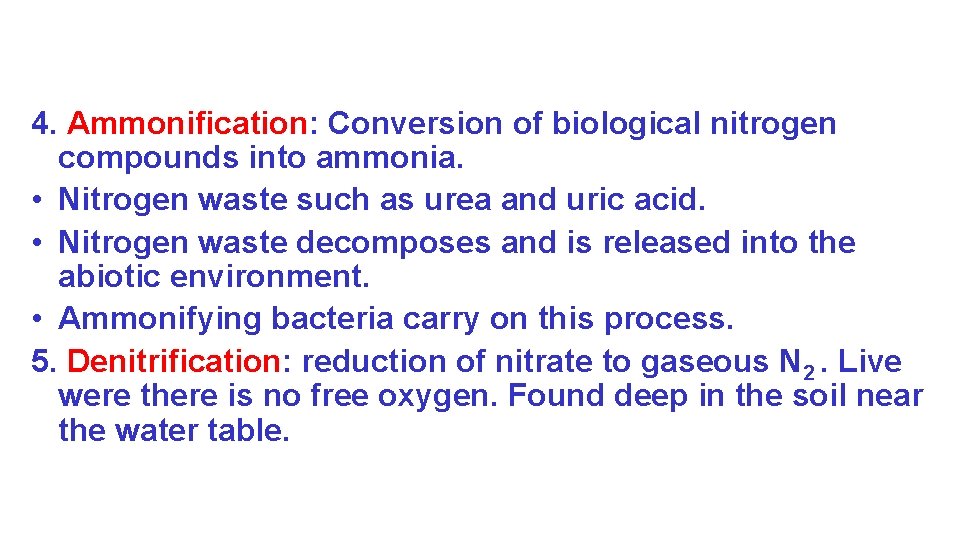 4. Ammonification: Conversion of biological nitrogen compounds into ammonia. • Nitrogen waste such as
