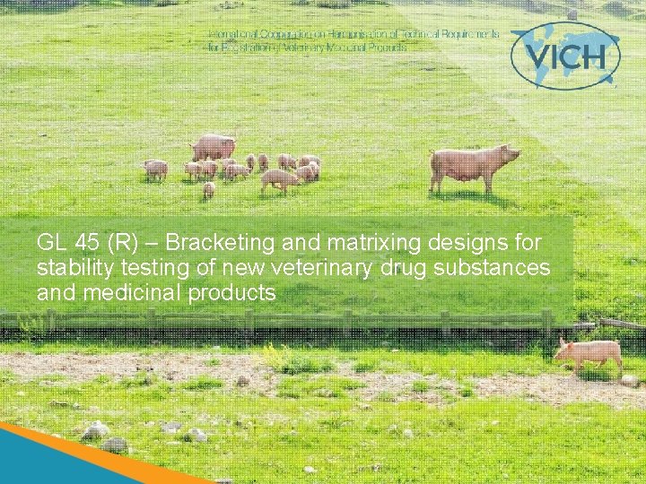 GL 45 (R) – Bracketing and matrixing designs for stability testing of new veterinary