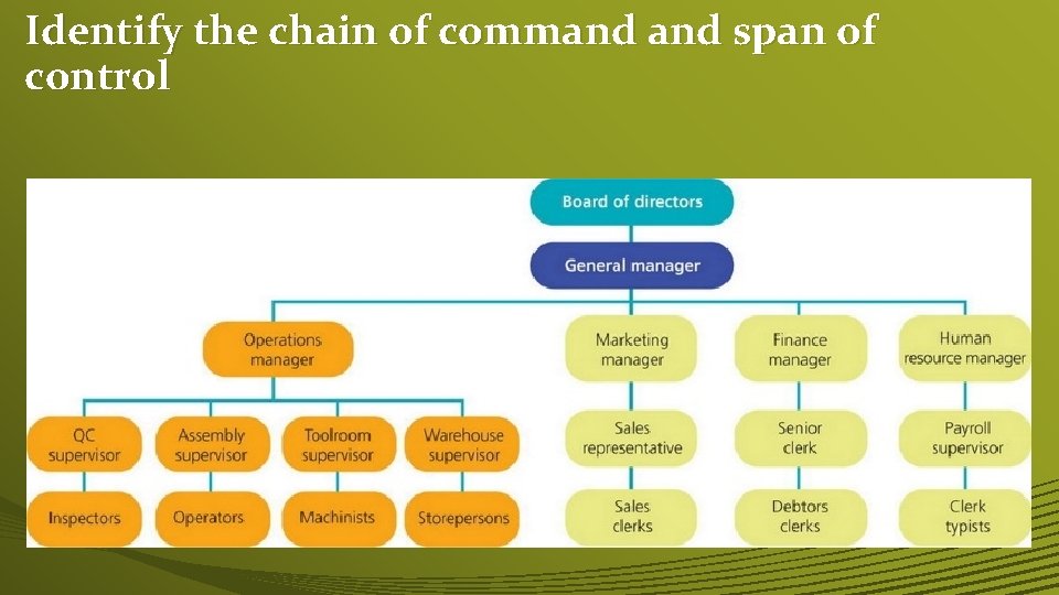 Identify the chain of command span of control 