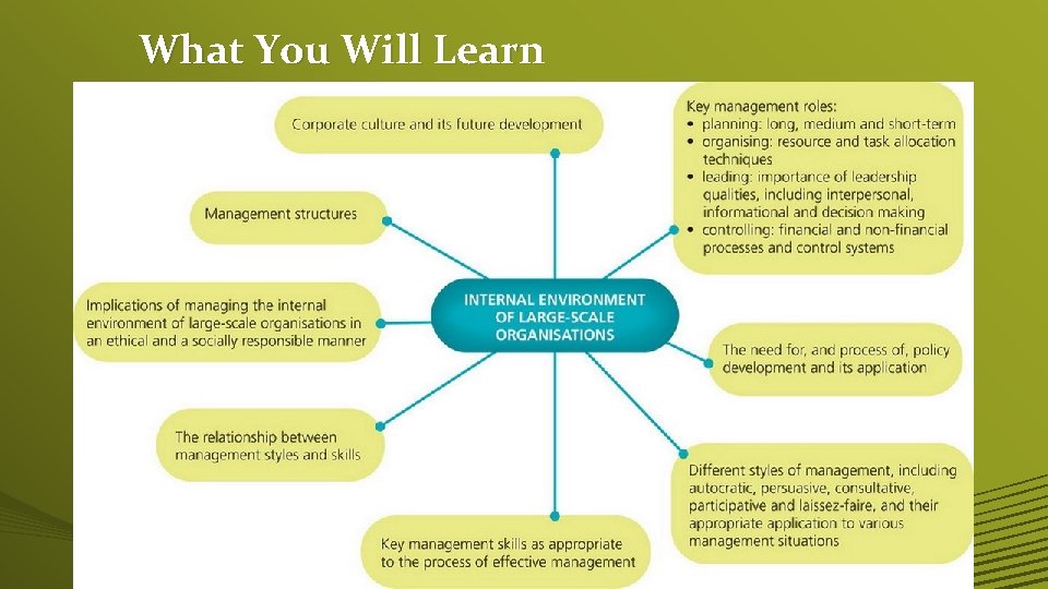 What You Will Learn • Add your first bullet point here • Add your