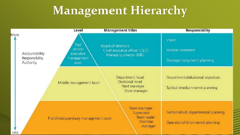 Management Hierarchy 