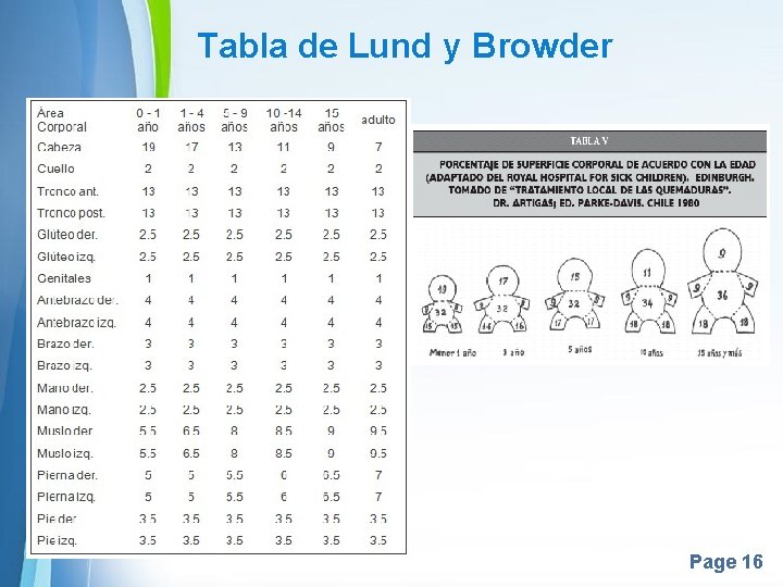 Tabla de Lund y Browder Page 16 Tabla de Lund y Browder Page 16