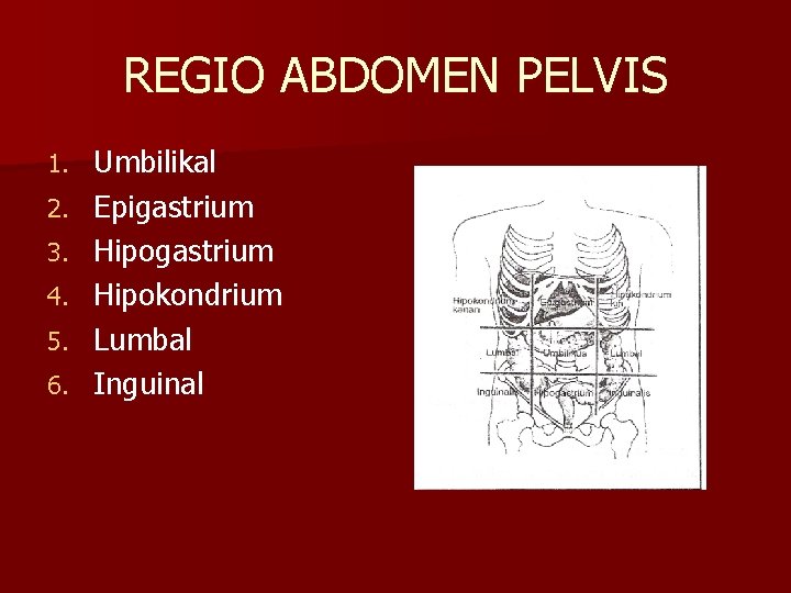REGIO ABDOMEN PELVIS 1. 2. 3. 4. 5. 6. Umbilikal Epigastrium Hipokondrium Lumbal Inguinal