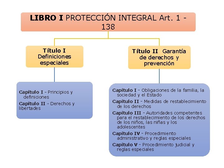 LIBRO I PROTECCIÓN INTEGRAL Art. 1 138 Título I Definiciones especiales Capítulo I -