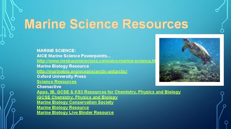 Marine Science Resources MARINE SCIENCE: AICE Marine Science Powerpoints. . . http: //www. mrsbaumansclass.