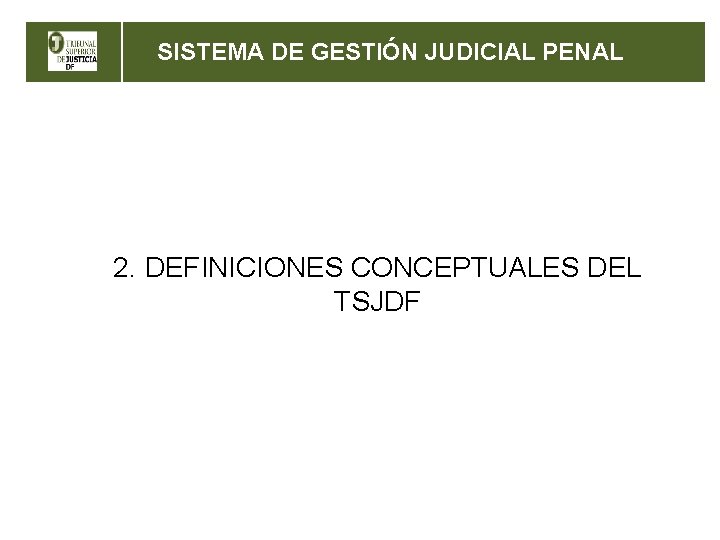 SISTEMA DE GESTIÓN JUDICIAL PENAL 2. DEFINICIONES CONCEPTUALES DEL TSJDF 