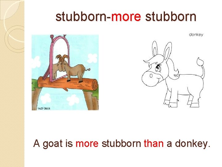 stubborn-more stubborn A goat is more stubborn than a donkey. 