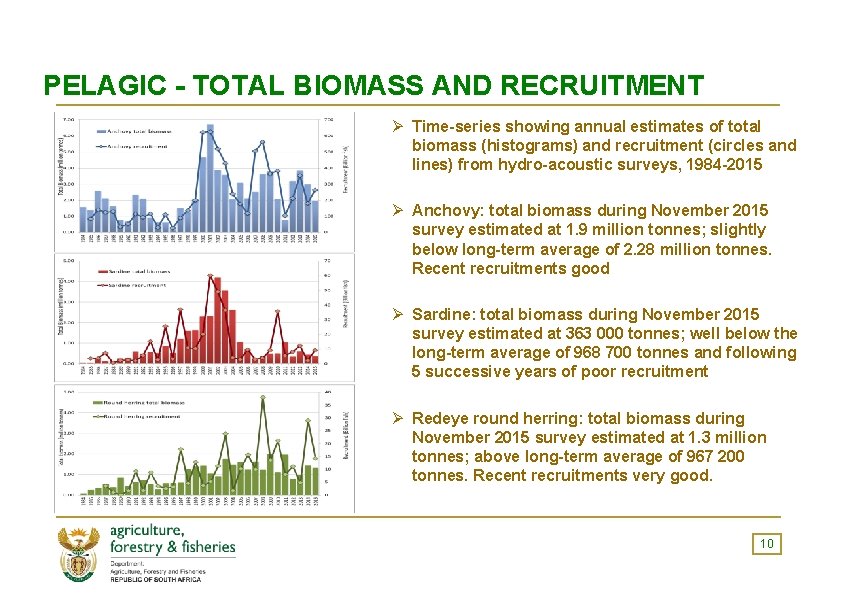 PELAGIC - TOTAL BIOMASS AND RECRUITMENT Ø Time-series showing annual estimates of total biomass
