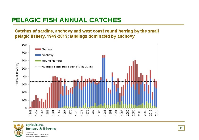 PELAGIC FISH ANNUAL CATCHES Catches of sardine, anchovy and west coast round herring by