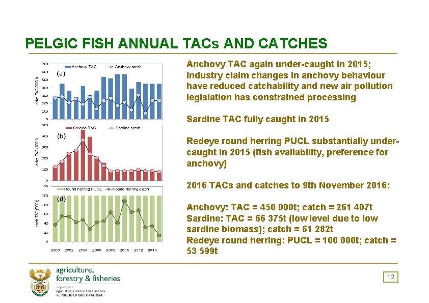 PELGIC FISH ANNUAL TACs AND CATCHES Anchovy TAC again under-caught in 2015; industry claim