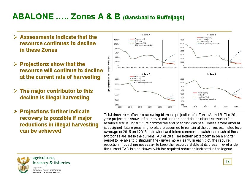ABALONE …. . Zones A & B (Gansbaai to Buffeljags) Ø Assessments indicate that