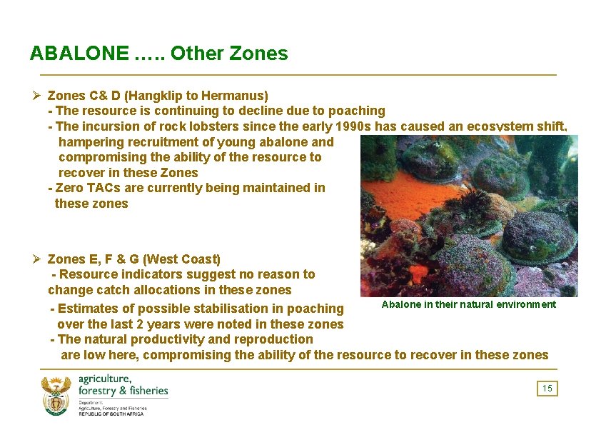 ABALONE …. . Other Zones Ø Zones C& D (Hangklip to Hermanus) - The
