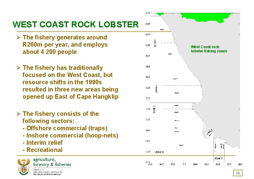 WEST COAST ROCK LOBSTER Ø The fishery generates around R 260 m per year,