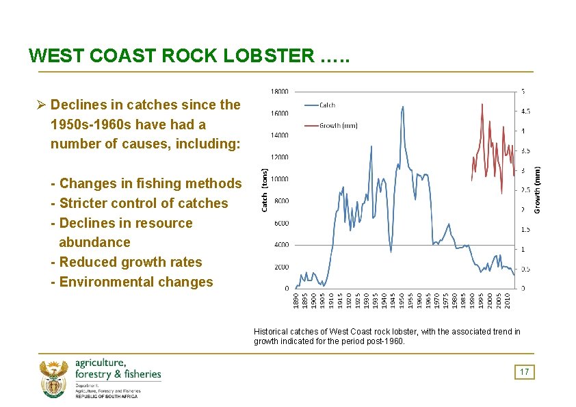 WEST COAST ROCK LOBSTER …. . Ø Declines in catches since the 1950 s-1960