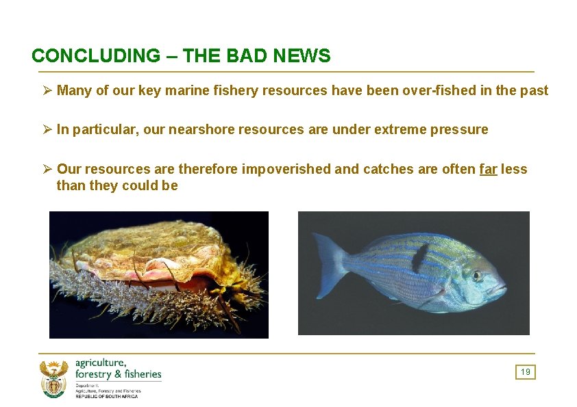 CONCLUDING – THE BAD NEWS Ø Many of our key marine fishery resources have