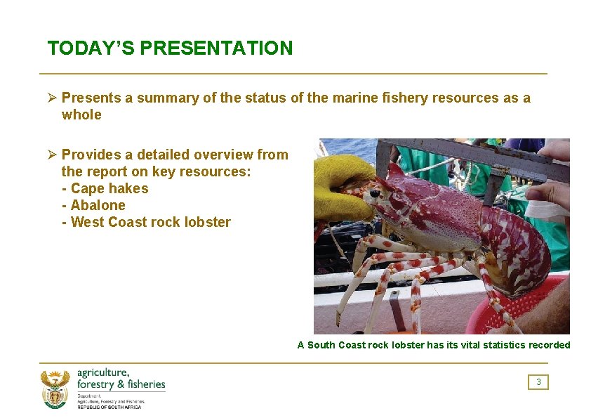 TODAY’S PRESENTATION Ø Presents a summary of the status of the marine fishery resources