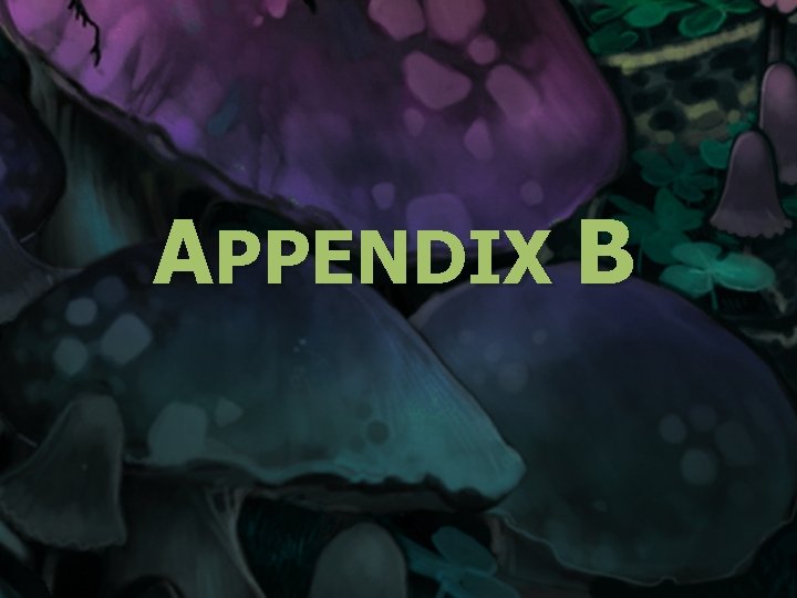 APPENDIX B 