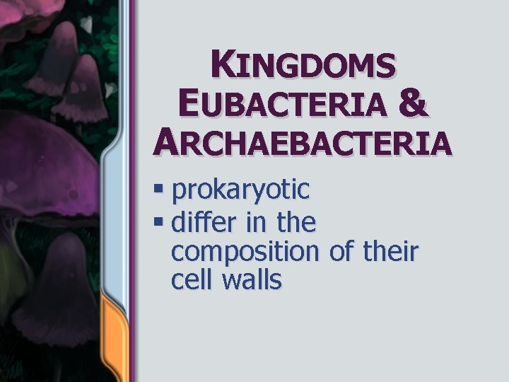 KINGDOMS EUBACTERIA & ARCHAEBACTERIA § prokaryotic § differ in the composition of their cell