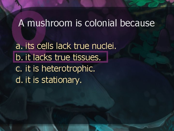 A mushroom is colonial because a. its cells lack true nuclei. b. it lacks