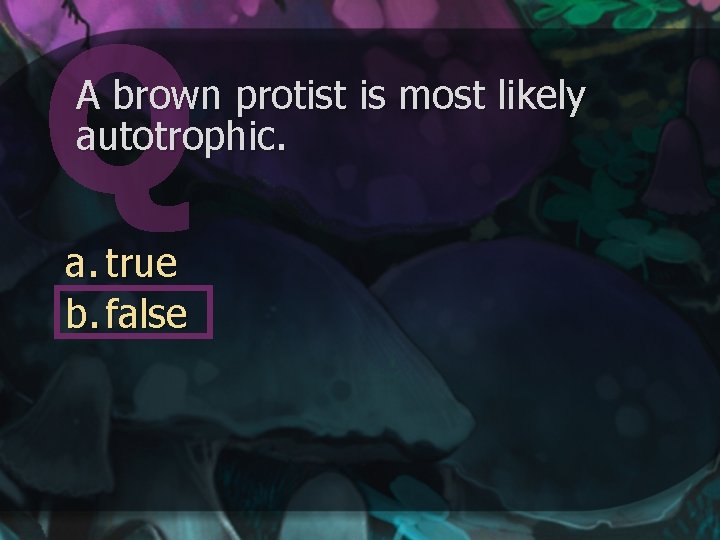 A brown protist is most likely autotrophic. a. true b. false 