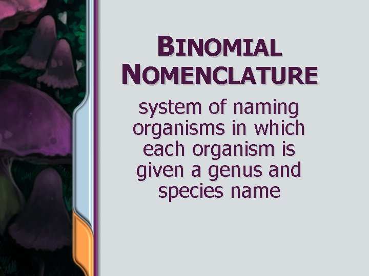BINOMIAL NOMENCLATURE system of naming organisms in which each organism is given a genus