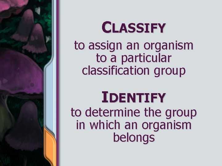 CLASSIFY to assign an organism to a particular classification group IDENTIFY to determine the
