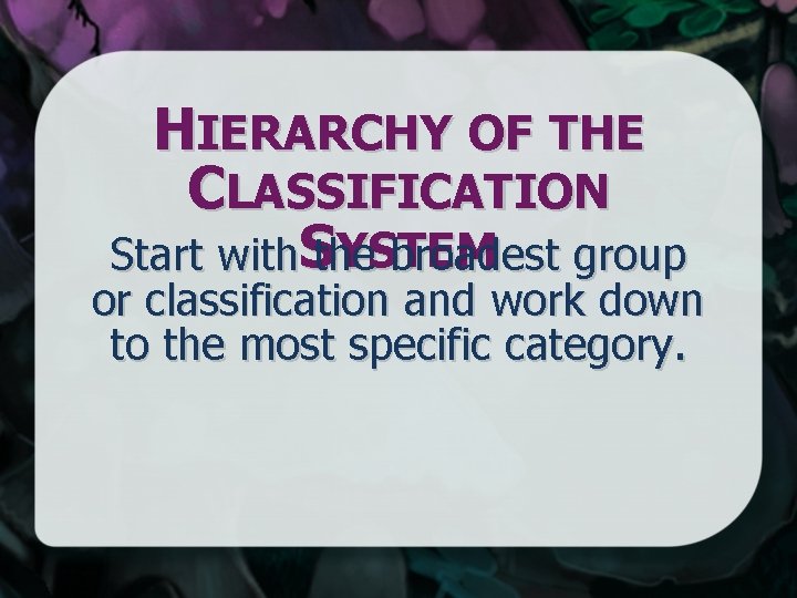 HIERARCHY OF THE CLASSIFICATION YSTEM Start with. Sthe broadest group or classification and work