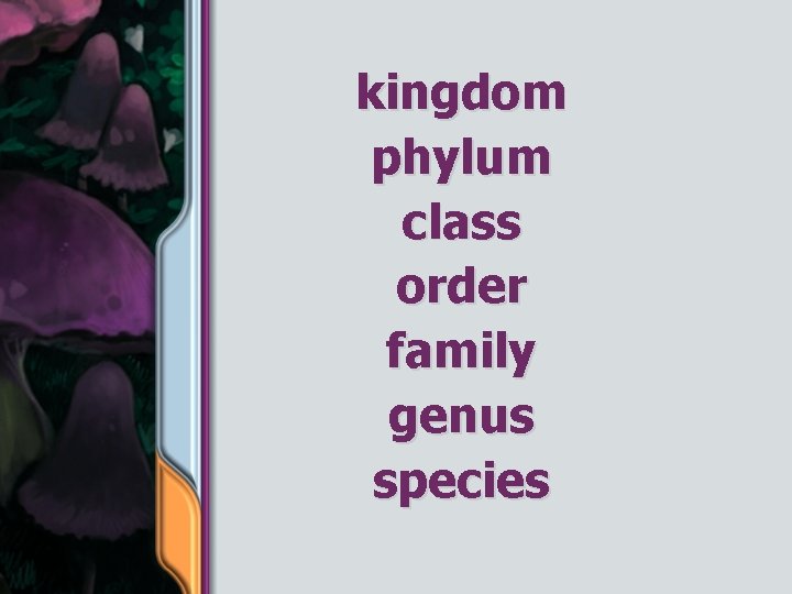 kingdom phylum class order family genus species 