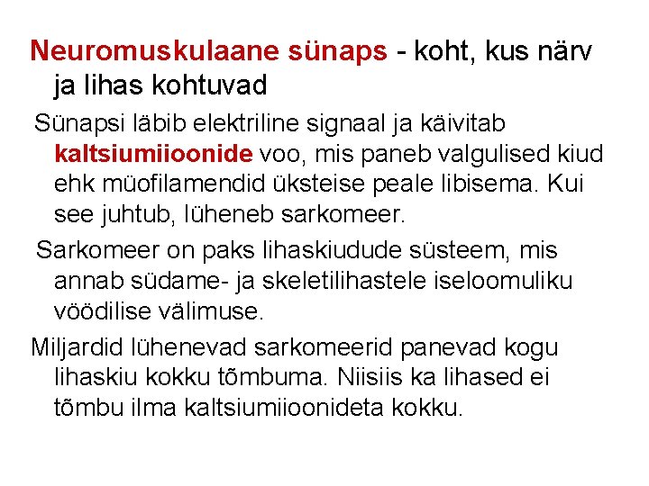 Neuromuskulaane sünaps - koht, kus närv ja lihas kohtuvad Sünapsi läbib elektriline signaal ja