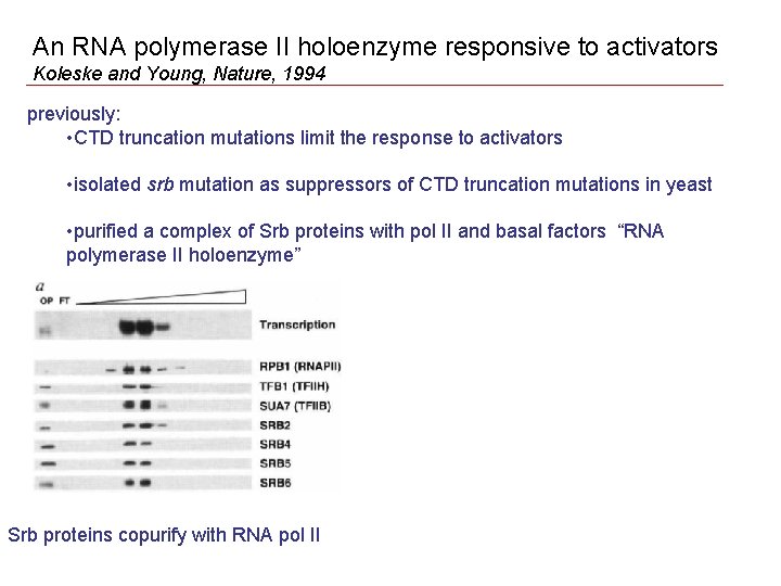 An RNA polymerase II holoenzyme responsive to activators Koleske and Young, Nature, 1994 previously: