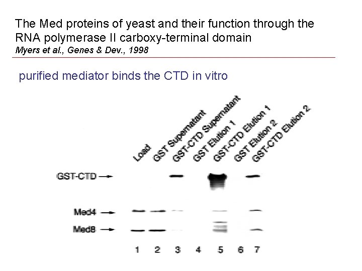 The Med proteins of yeast and their function through the RNA polymerase II carboxy-terminal