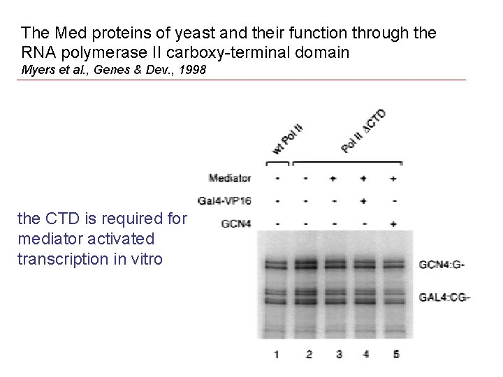 The Med proteins of yeast and their function through the RNA polymerase II carboxy-terminal