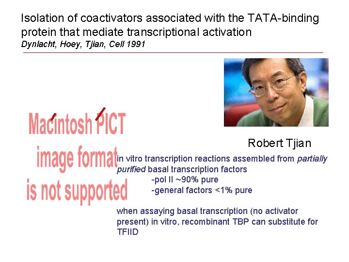 Isolation of coactivators associated with the TATA-binding protein that mediate transcriptional activation Dynlacht, Hoey,