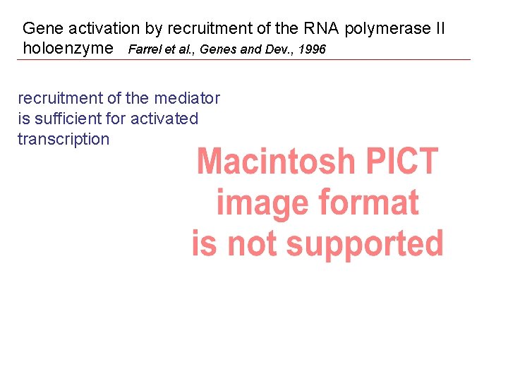 Gene activation by recruitment of the RNA polymerase II holoenzyme Farrel et al. ,