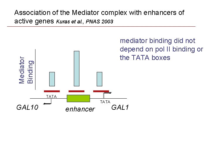 Association of the Mediator complex with enhancers of active genes Kuras et al. ,