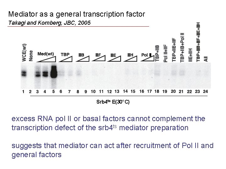 Mediator as a general transcription factor Takagi and Kornberg, JBC, 2005 Srb 4 ts