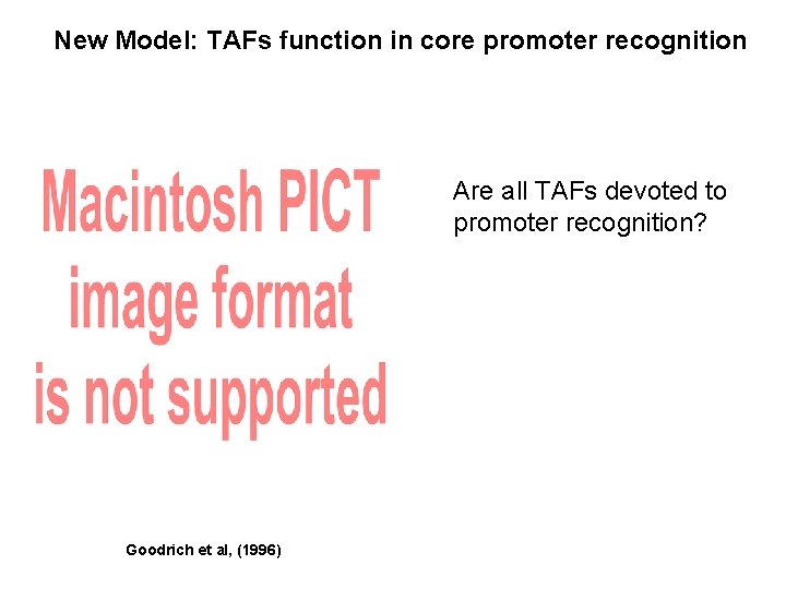 New Model: TAFs function in core promoter recognition Are all TAFs devoted to promoter