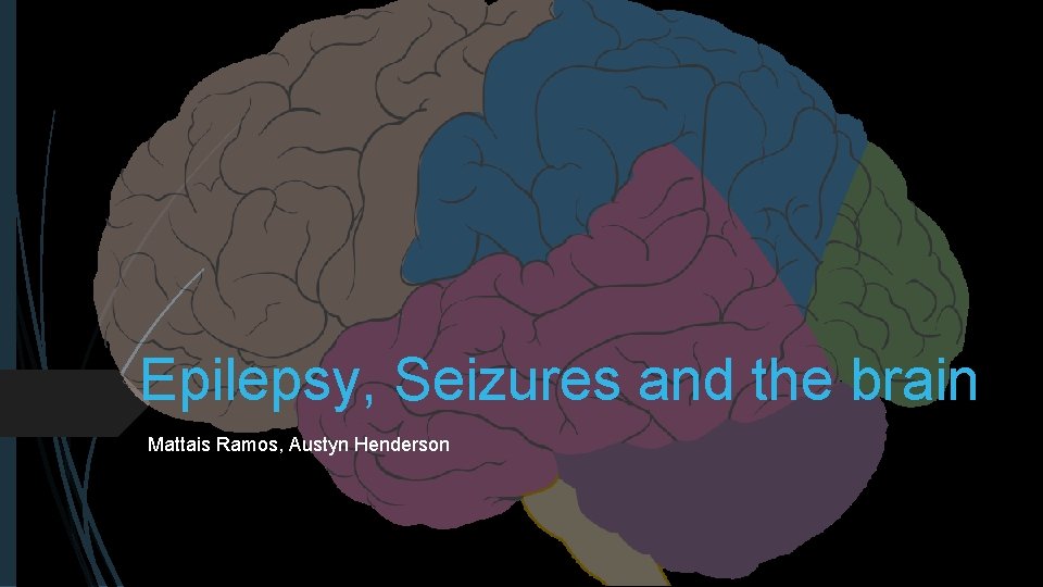 Epilepsy, Seizures and the brain Mattais Ramos, Austyn Henderson 