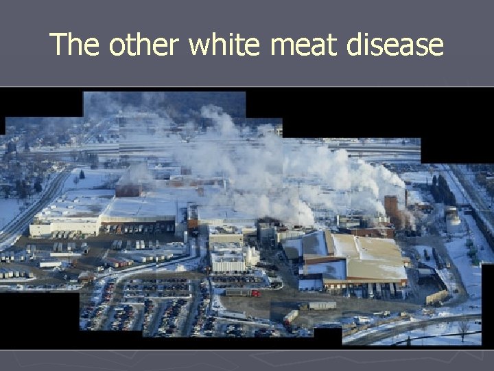 The other white meat disease 