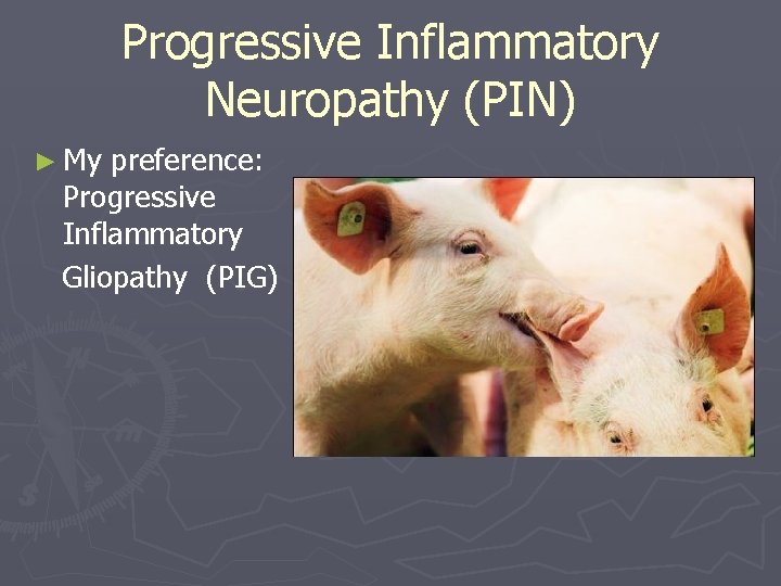 Progressive Inflammatory Neuropathy (PIN) ► My preference: Progressive Inflammatory Gliopathy (PIG) 