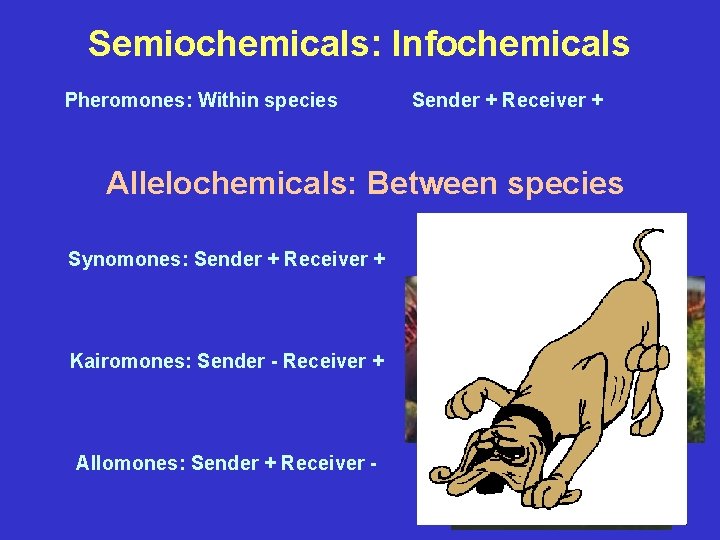 Semiochemicals: Infochemicals Pheromones: Within species Sender + Receiver + Allelochemicals: Between species Synomones: Sender