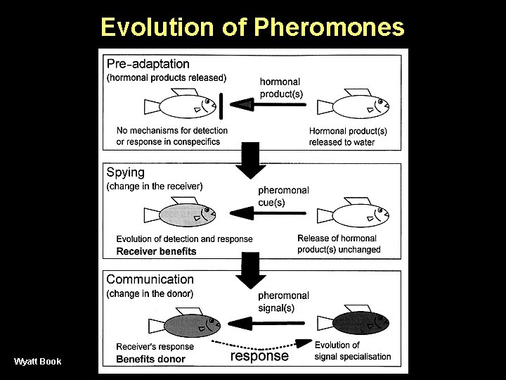 Evolution of Pheromones Wyatt Book 