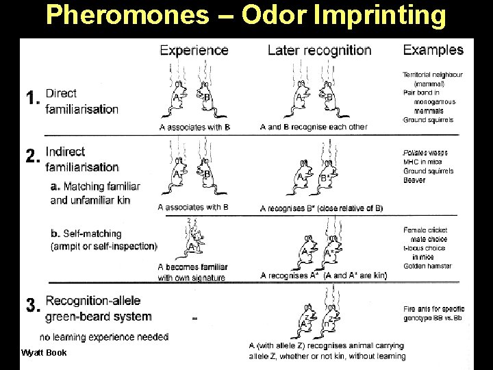 Pheromones – Odor Imprinting Wyatt Book 