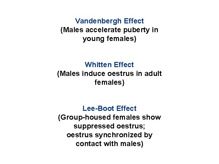 Vandenbergh Effect (Males accelerate puberty in young females) Whitten Effect (Males induce oestrus in