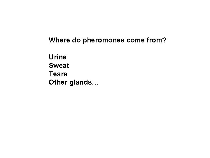 Where do pheromones come from? Urine Sweat Tears Other glands… 