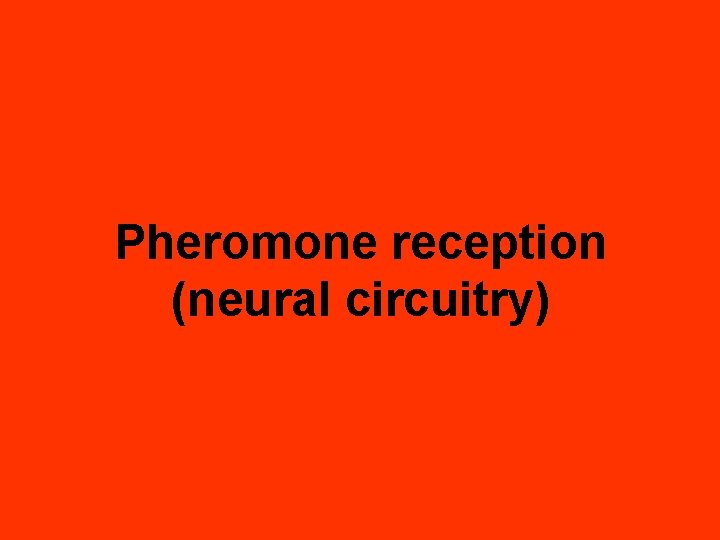 Pheromone reception (neural circuitry) 