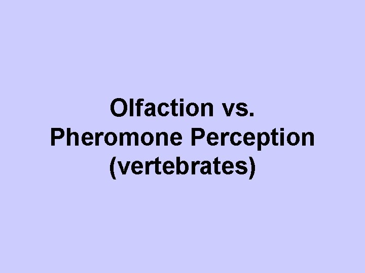 Olfaction vs. Pheromone Perception (vertebrates) 
