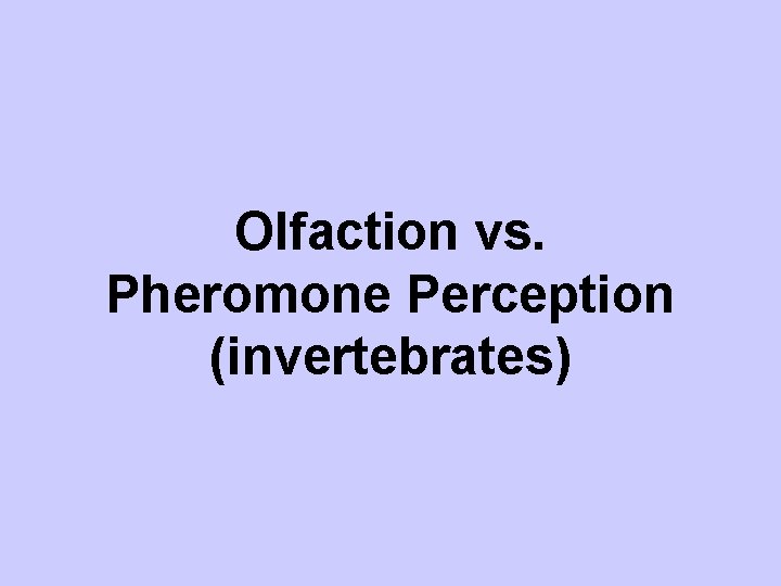 Olfaction vs. Pheromone Perception (invertebrates) 